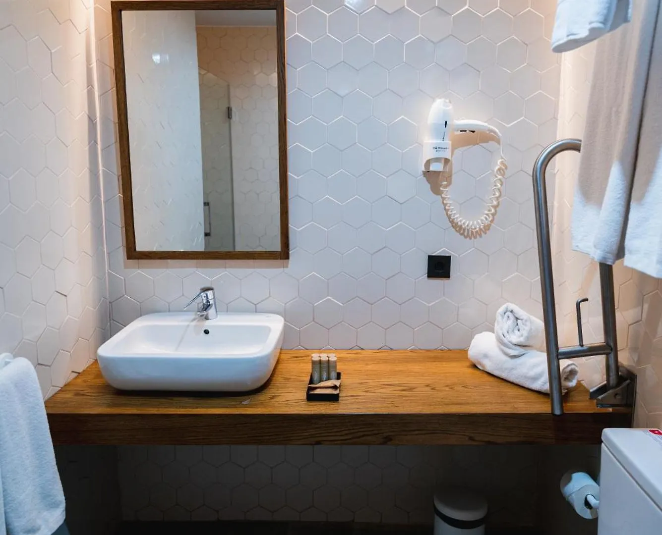 Malaga Premium Hotel 3*,  Spain